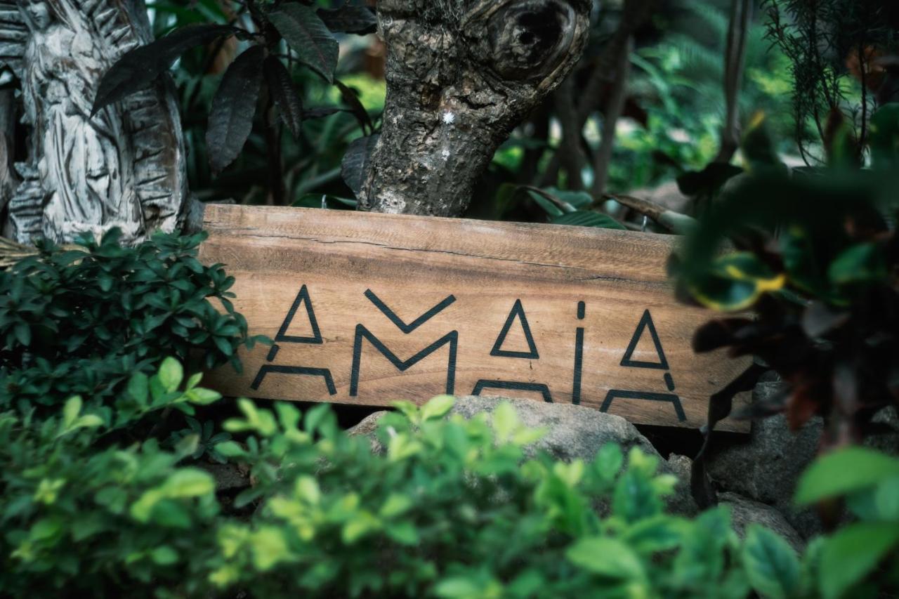 Amaia Boutique Hotel サユリタ エクステリア 写真